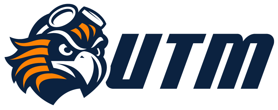 Tennessee-Martin Skyhawks 2020-Pres Alternate Logo diy DTF decal sticker